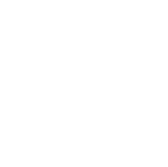 MDSRM для директоров по сбыту